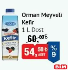 DOST ORMAN MEYVELİ KEFİR 1 L fiyat ve kampanya bilgisi